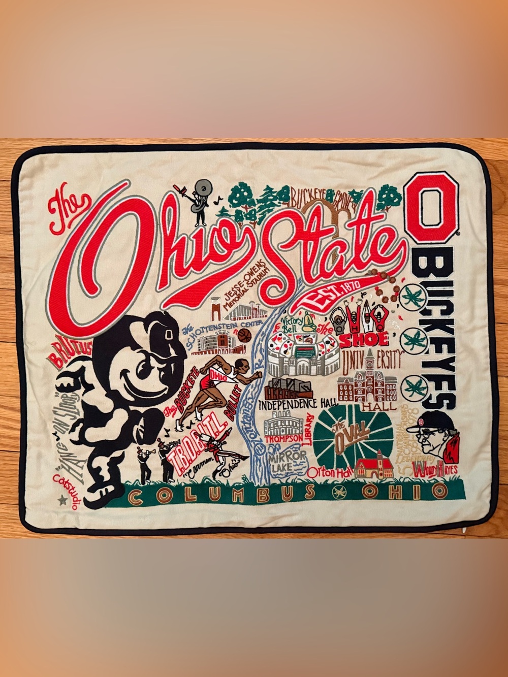The Ohio State University Vintage style Graphic Pillow Cover - embroidered 18x24
